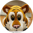 Hampton Falls Tiger Trot profile picture